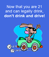 21 Drink and Drive
