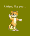 Friend Like You