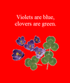 Violets and Clovers